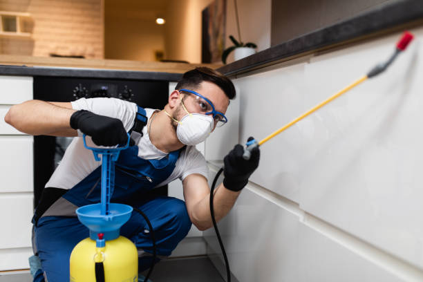 Best Pest Prevention Services  in Burns, TN