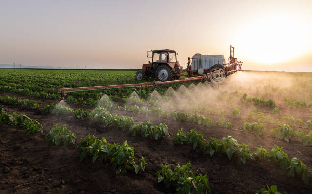 Insect Control in Burns, TN