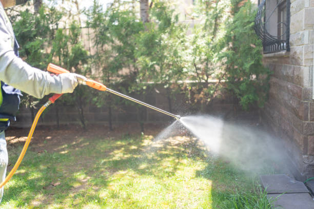 Best Bed Bug Extermination  in Burns, TN