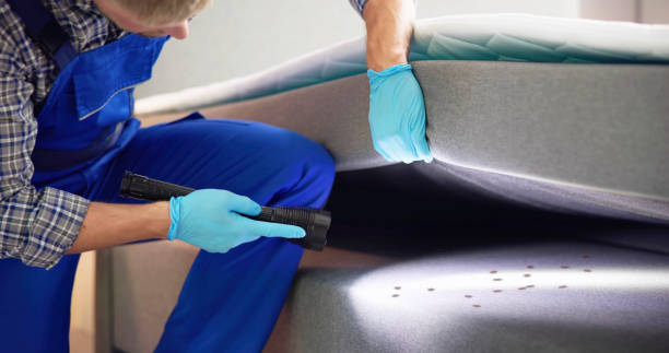 Best Pest Removal Services  in Burns, TN