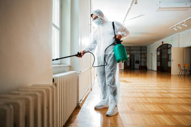 Best Wasp Removal Services  in Burns, TN