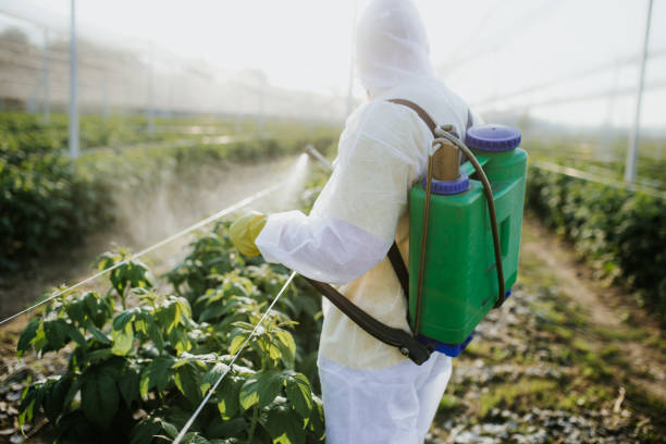 Best Mosquito Control Services  in Burns, TN
